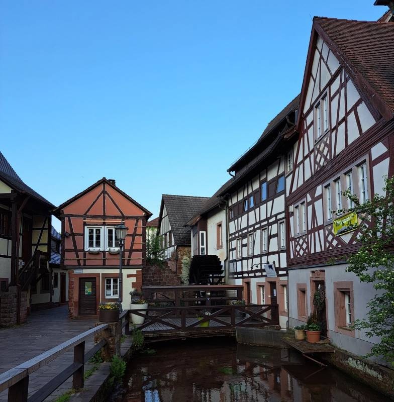 Stellplatz Annweiler — Місце для кемперів in Annweiler am Trifels