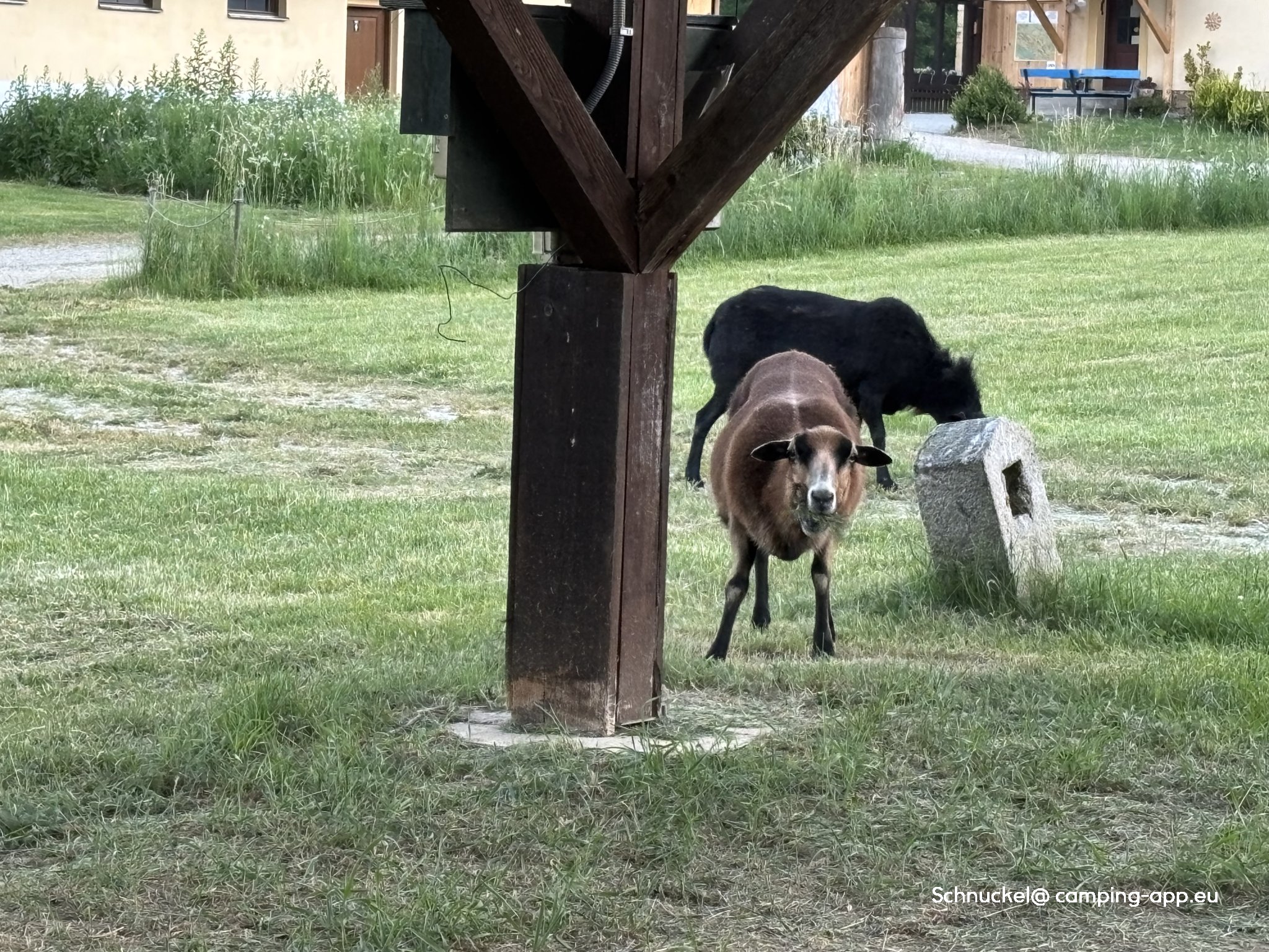 Caravan Camp Petráškův Dvůr — Photo 6