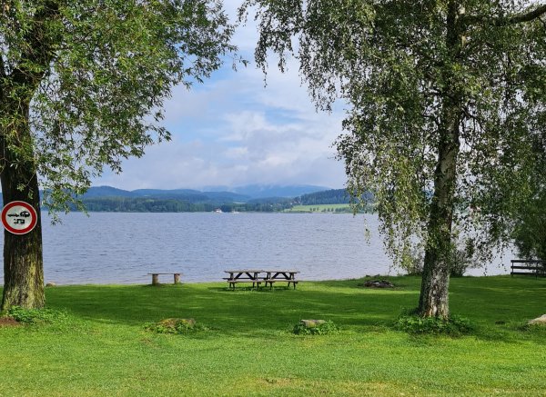 Camp Villa Bohemia — Photo 6