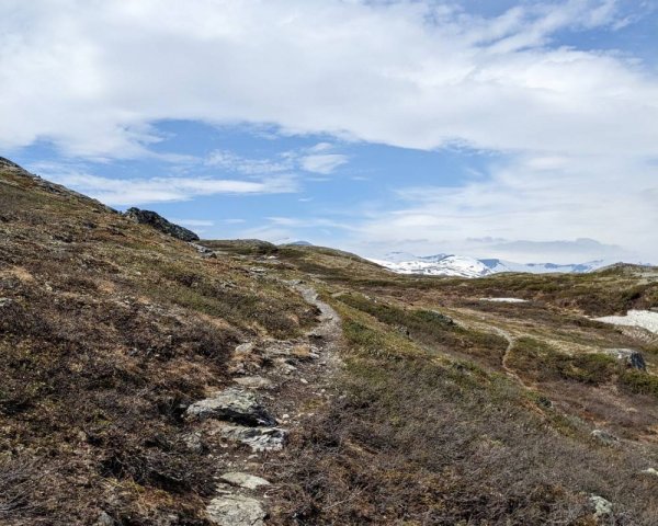 Jotunheimen Caravan Camp — Foto 3