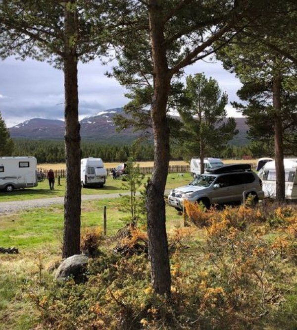 Sjodalen Hyttetun og Camping — Photo 3