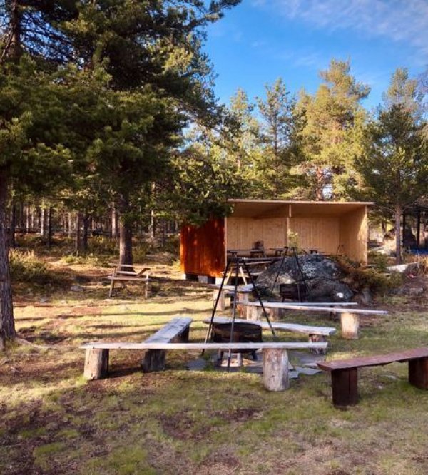 Sjodalen Hyttetun og Camping — Photo 6