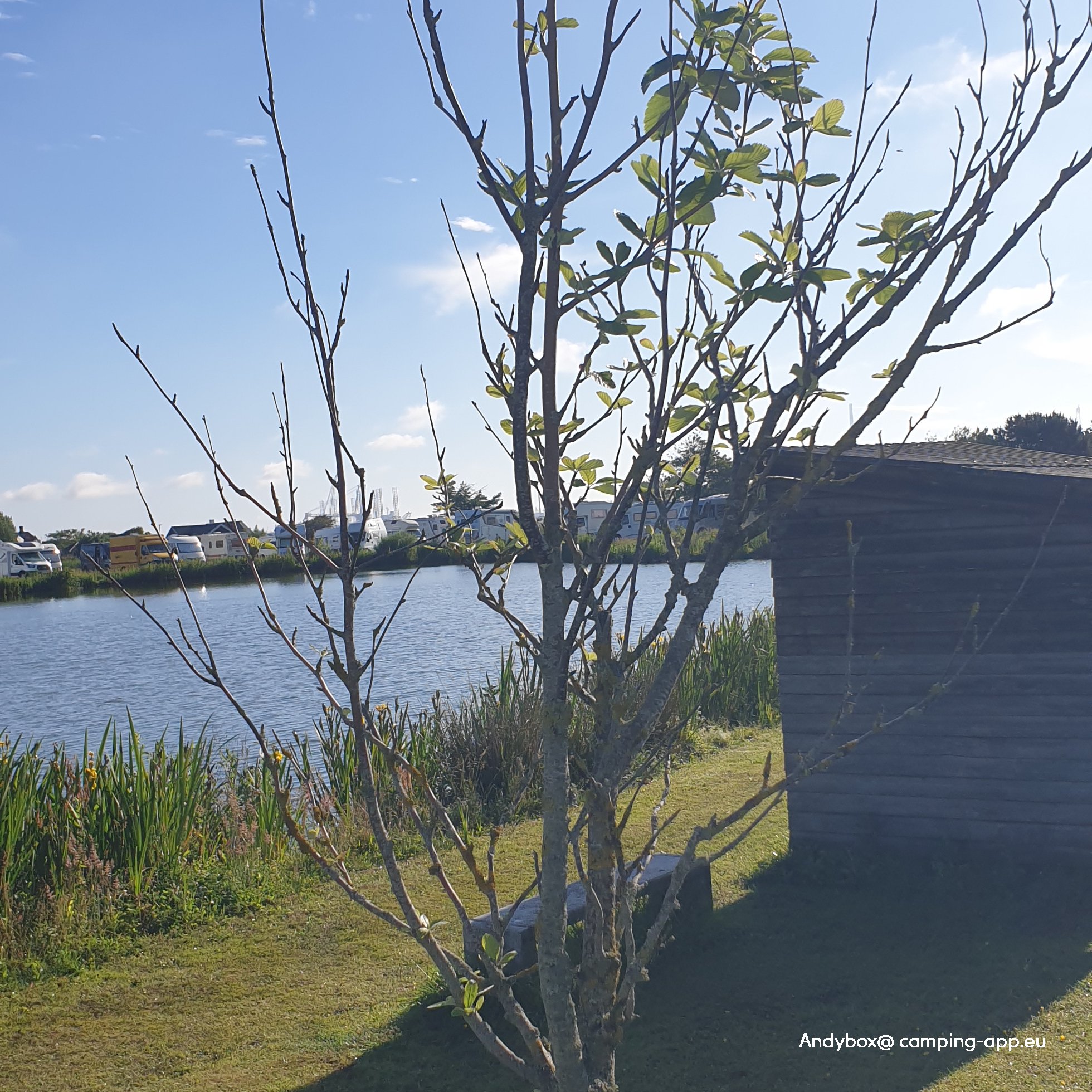 Fanø Fiskesø Rindby — Foto 2
