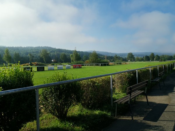 Hipodrom Holoubek — Photo 3