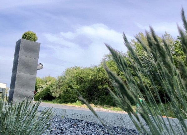 Stellplatz zur Platane — Photo 4