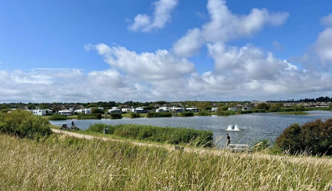 Hvidbjerg Strand Camping & Resort — Camping in Blåvand