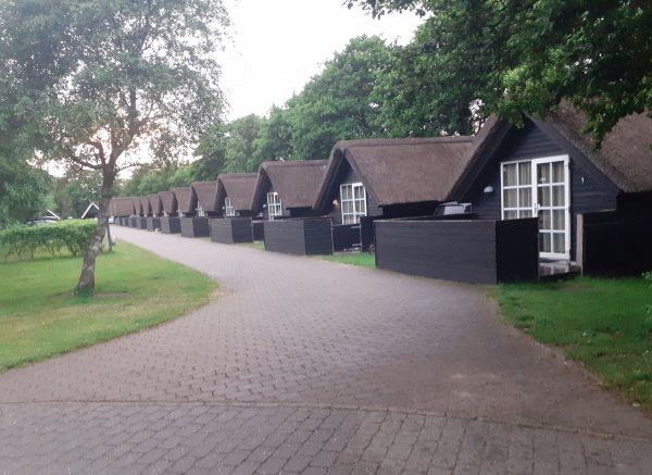 Hvidbjerg Strand Camping & Resort — Photo 2