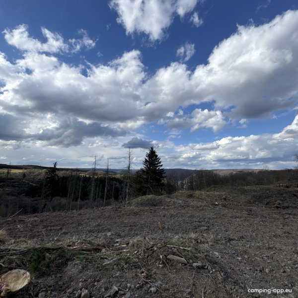 Eifelpark-Vogelsang — Photo 4