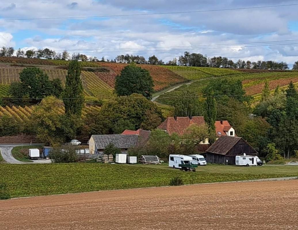 Weingut Eherieder Mühle — Weingut in Kitzingen