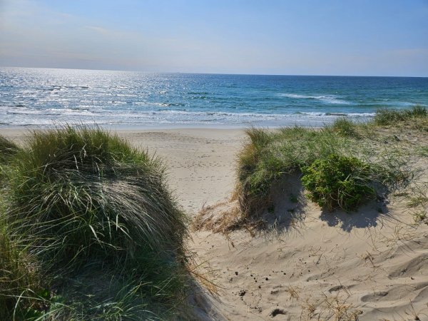 Bore Strandcamping — Photo 3