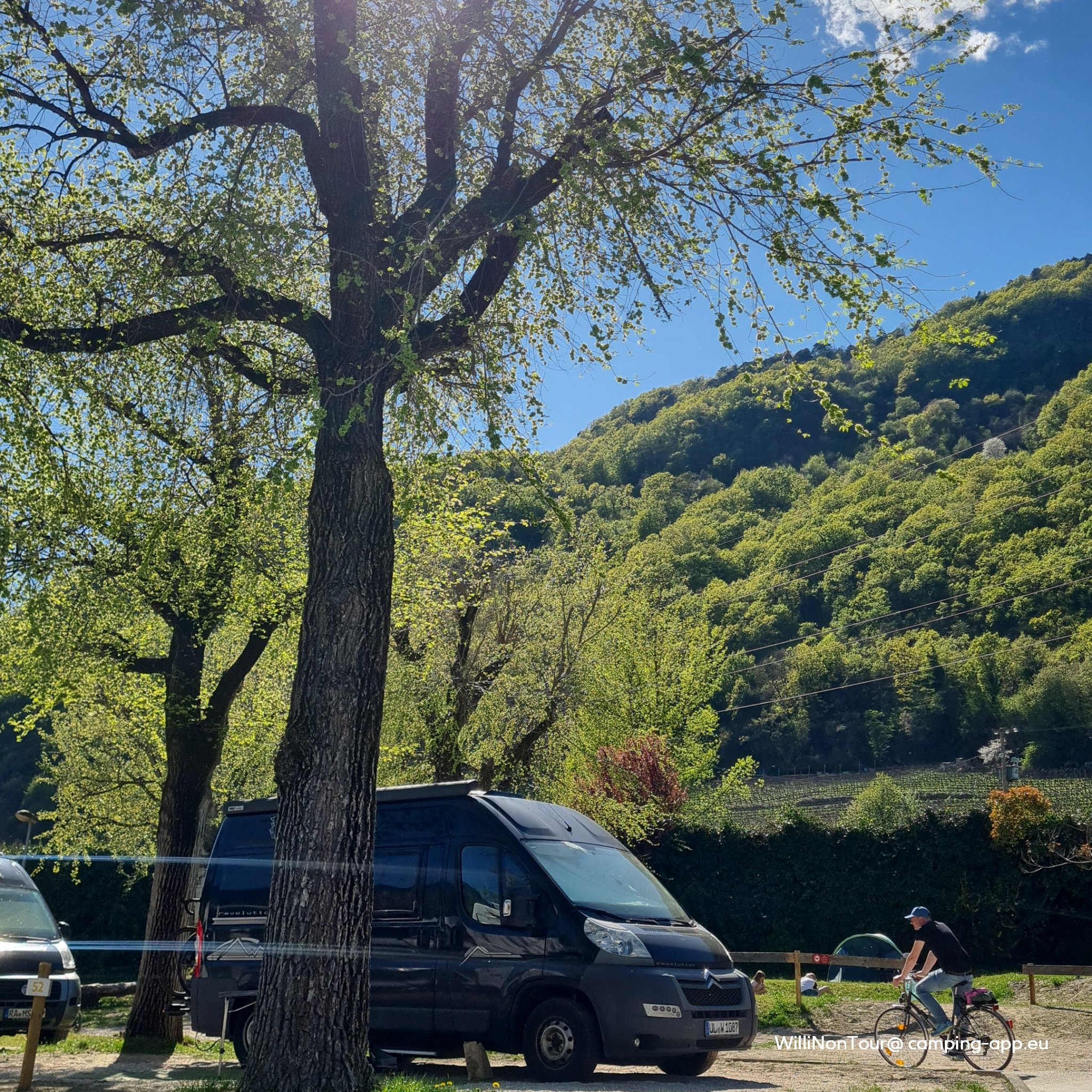 Camping St Josef am Kalterer See — Camping Site in Kaltern