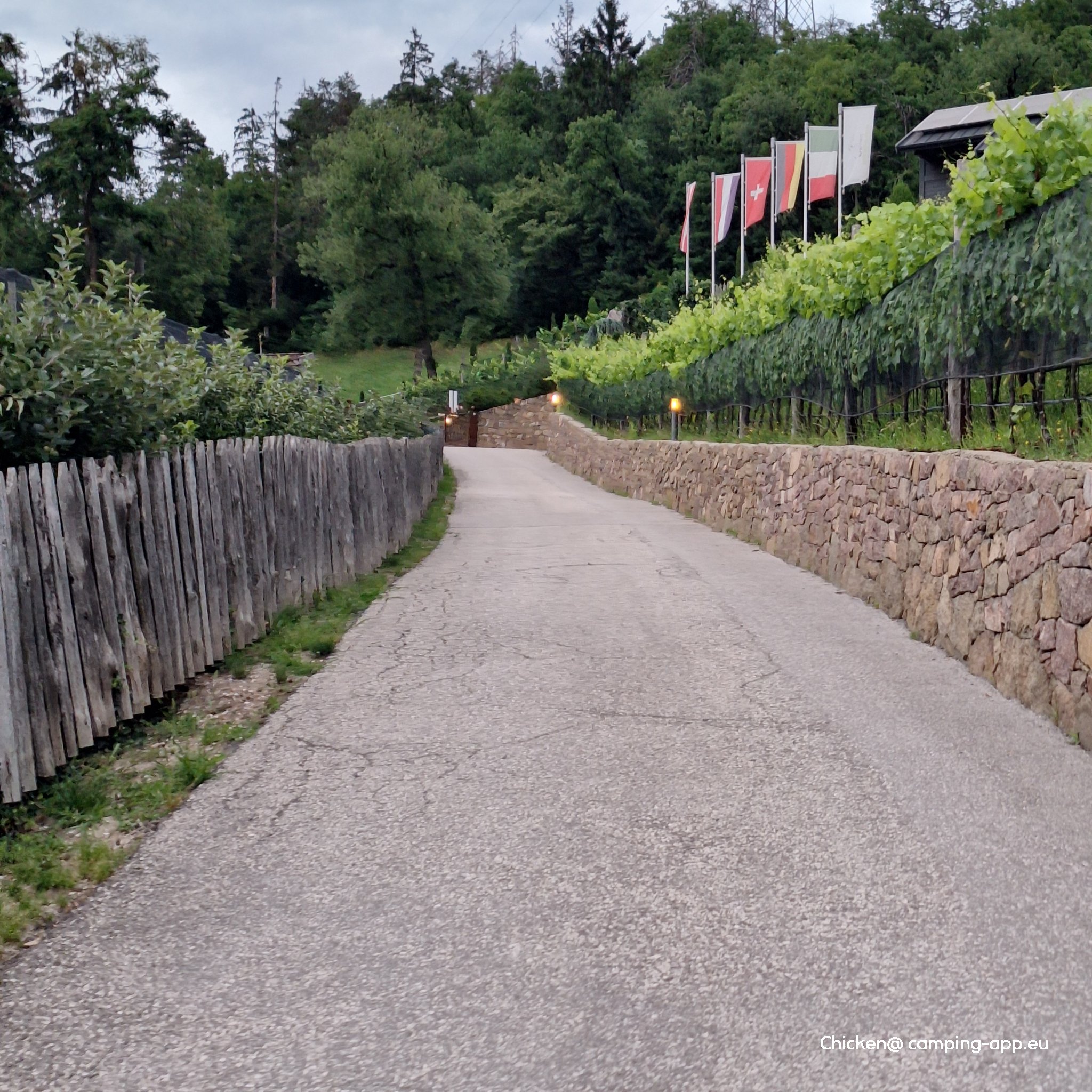 Alpinfitness Waldcamping — Foto 4