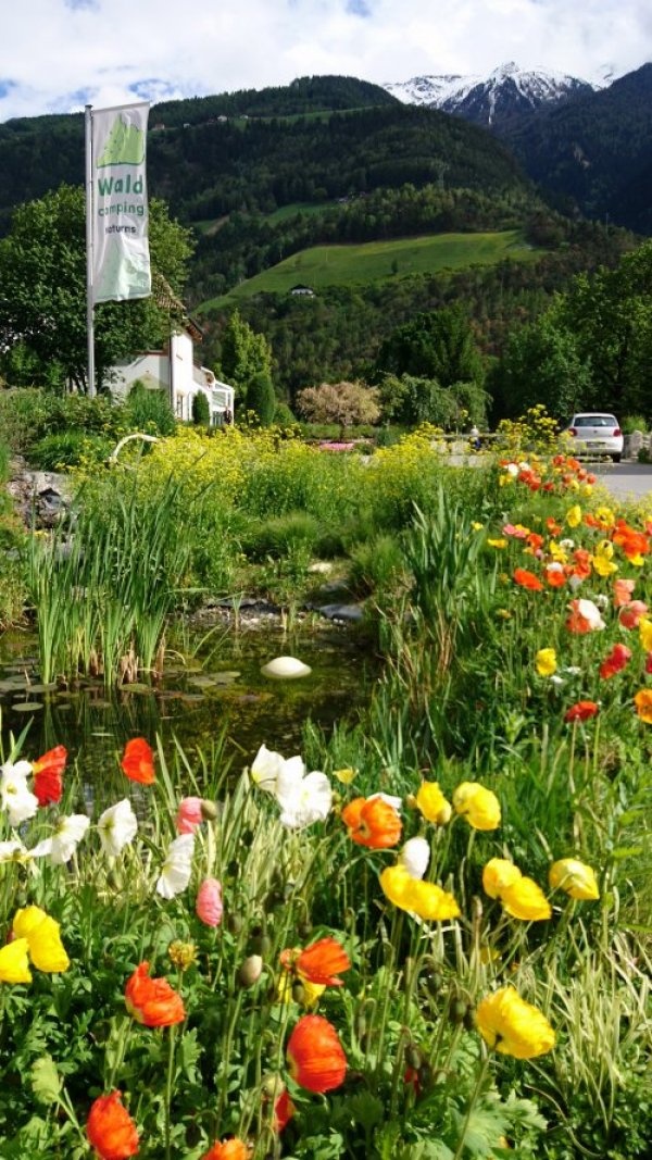 Waldcamping Naturns — Kemping in Naturns bei Meran