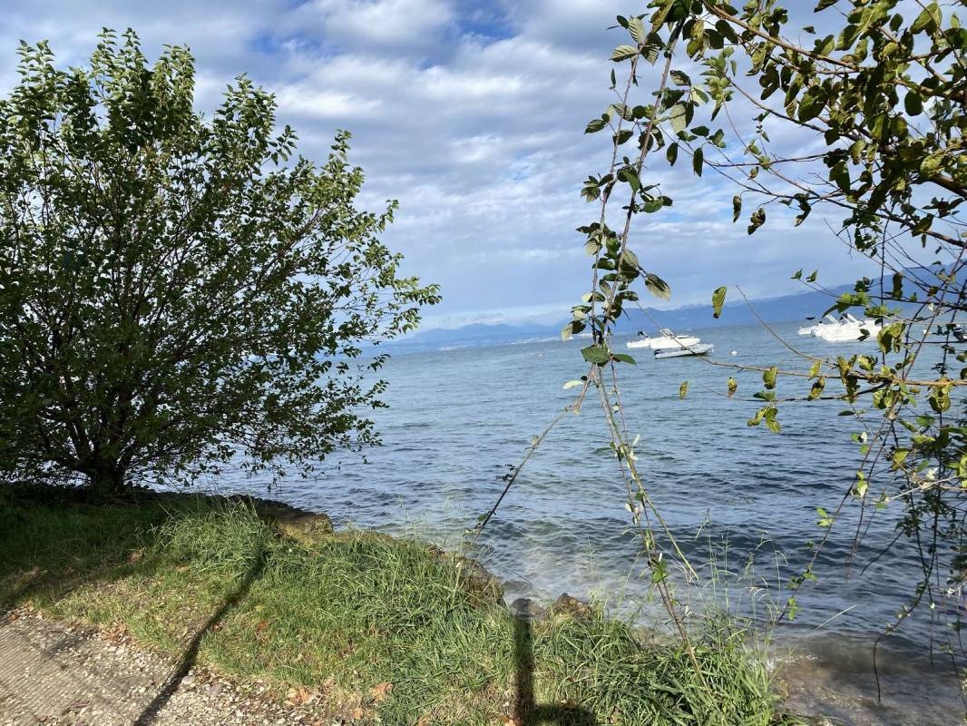 La quercia camping — Campingplats in Lazise