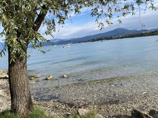 La quercia camping — Photo 4