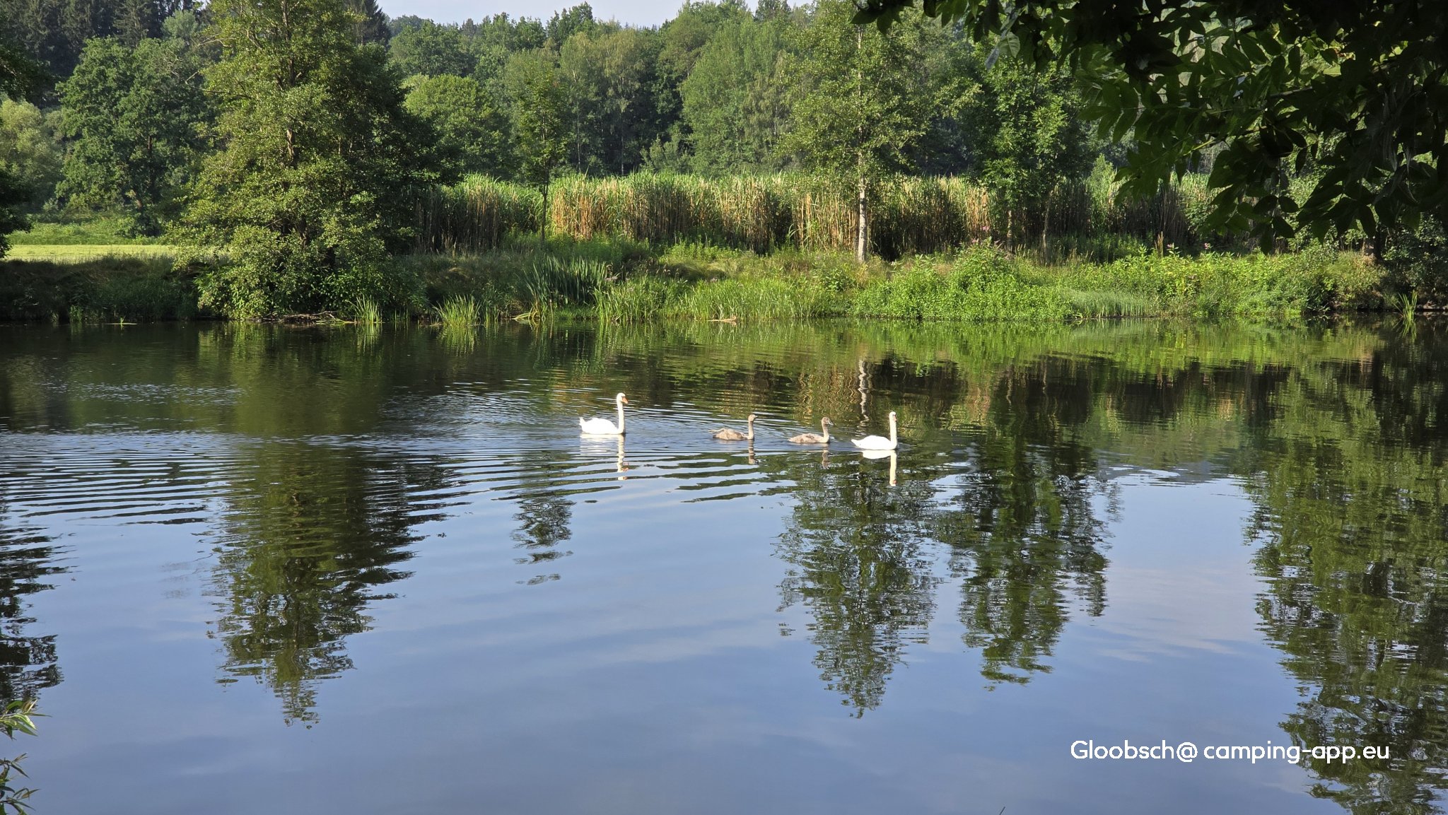 Camping Höllensteinsee — Foto 3