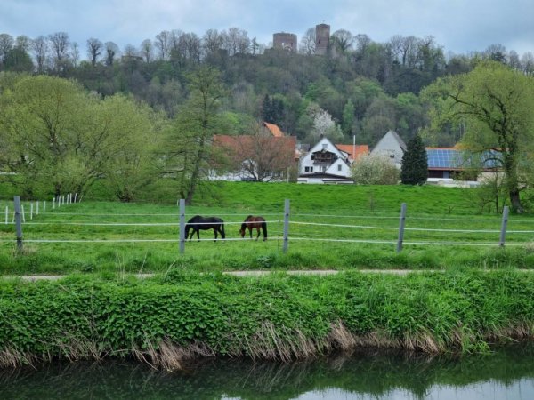 Campingplatz Diemelaue — Photo 4