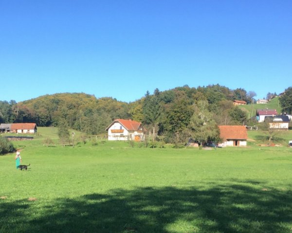 Bee Happy- Camper stop & Farmstay — Photo 2