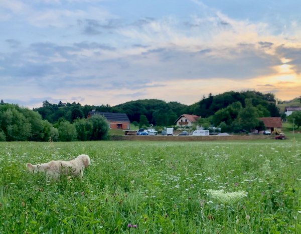 Bee Happy- Camper stop & Farmstay — Photo 6