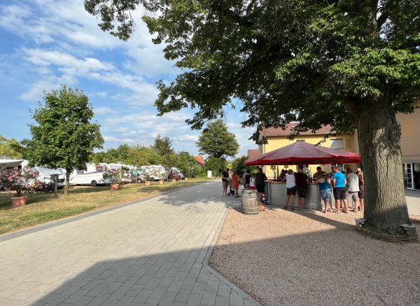 Stellplatz am Weingut Philipp Schnabel — Photo 3