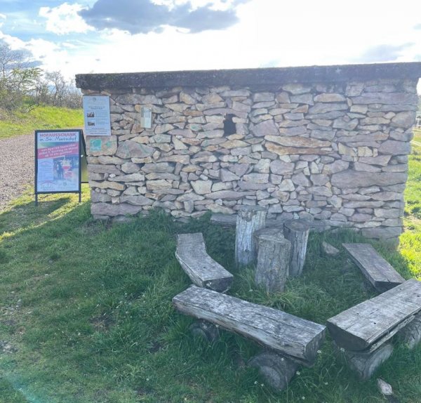 Stellplatz am Weingut Philipp Schnabel — Photo 5