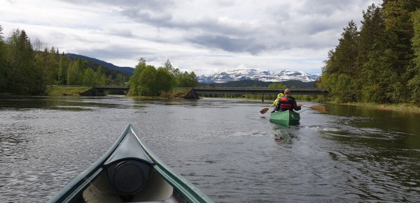 Hålimo Camping — Foto 3