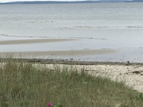 Wildwood Camping Rügen — Camping in Garz/Rügen