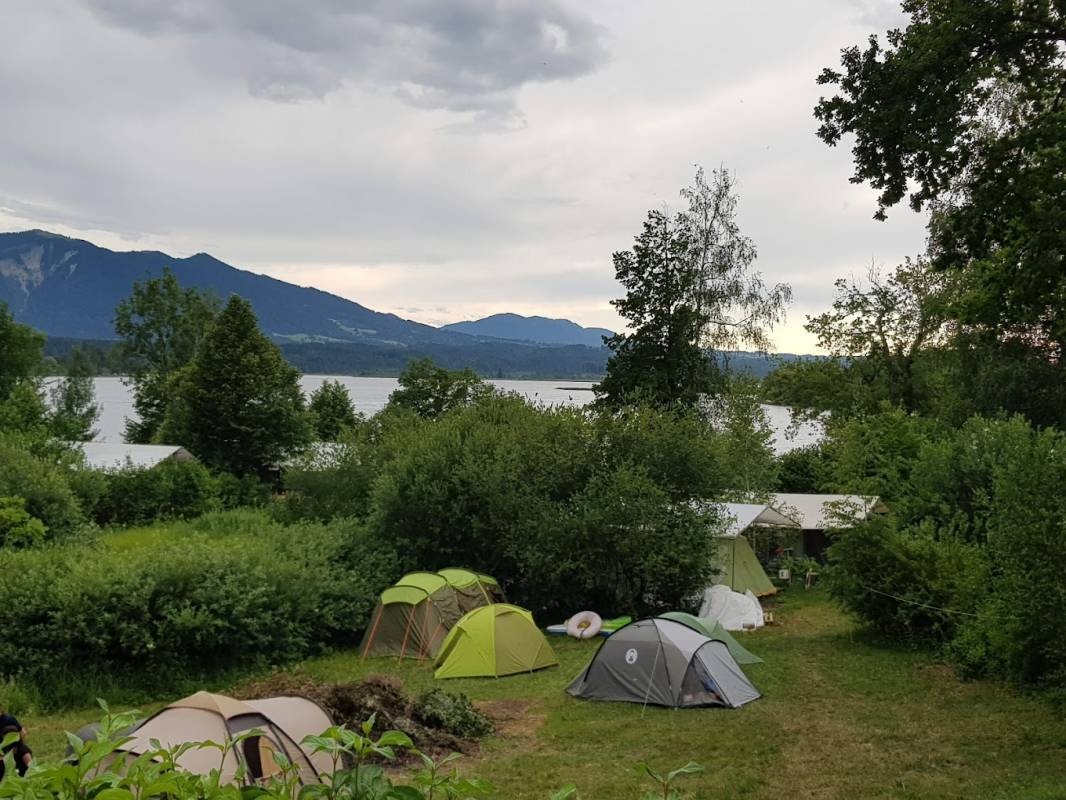 (Autofrei) Campinginsel-Buchau — Kun teltpladser in Seehausen am Staffelsee