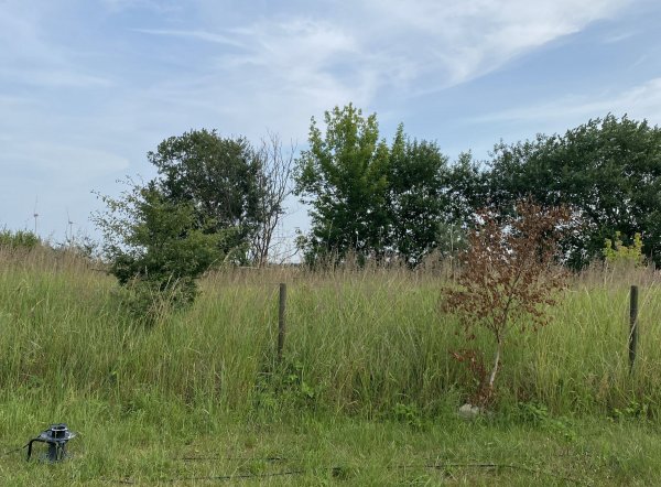 Stellplatz am alten Bahnhof — Photo 3