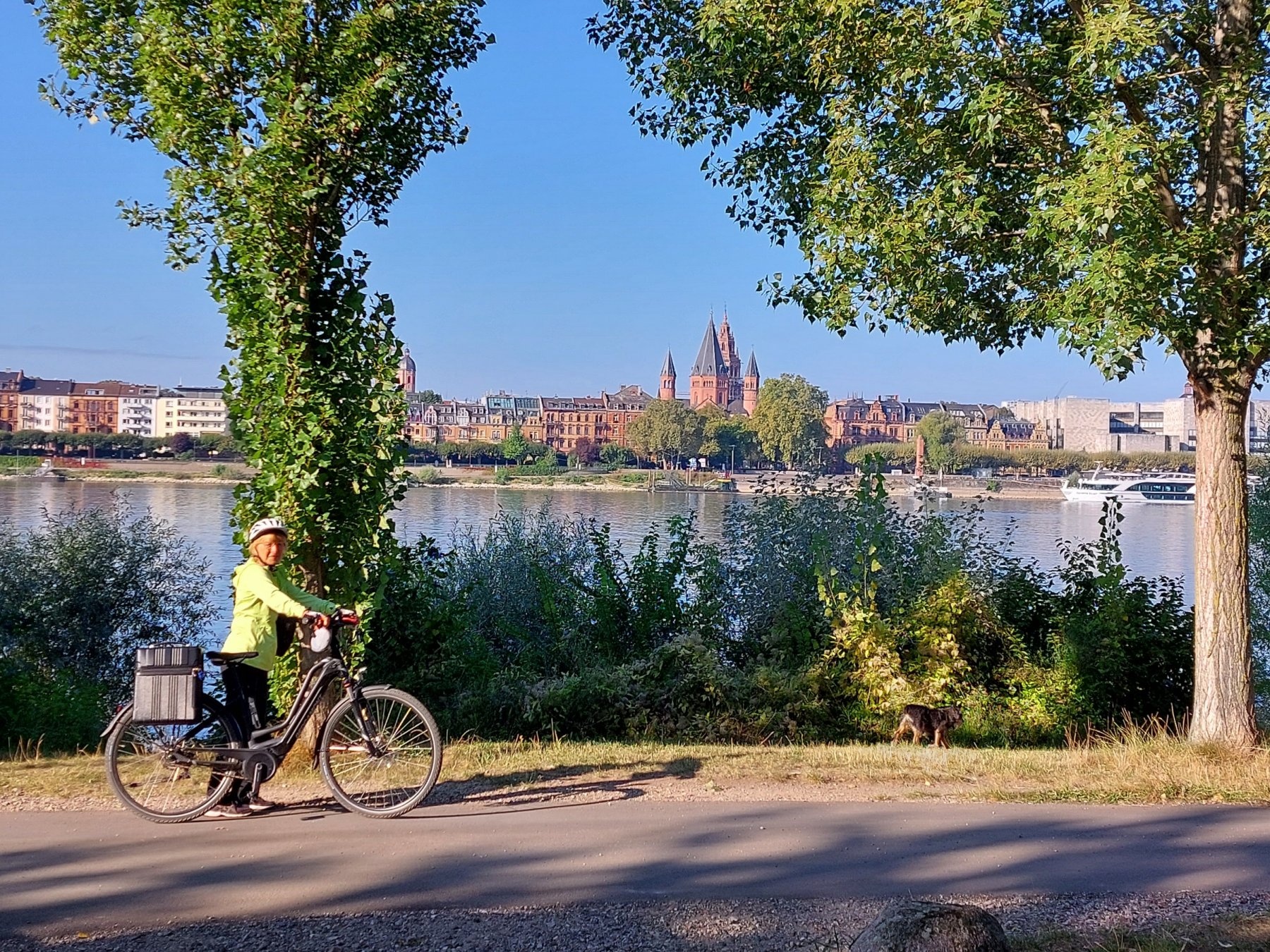 Campingplatz Maaraue — Camping in Wiesbaden