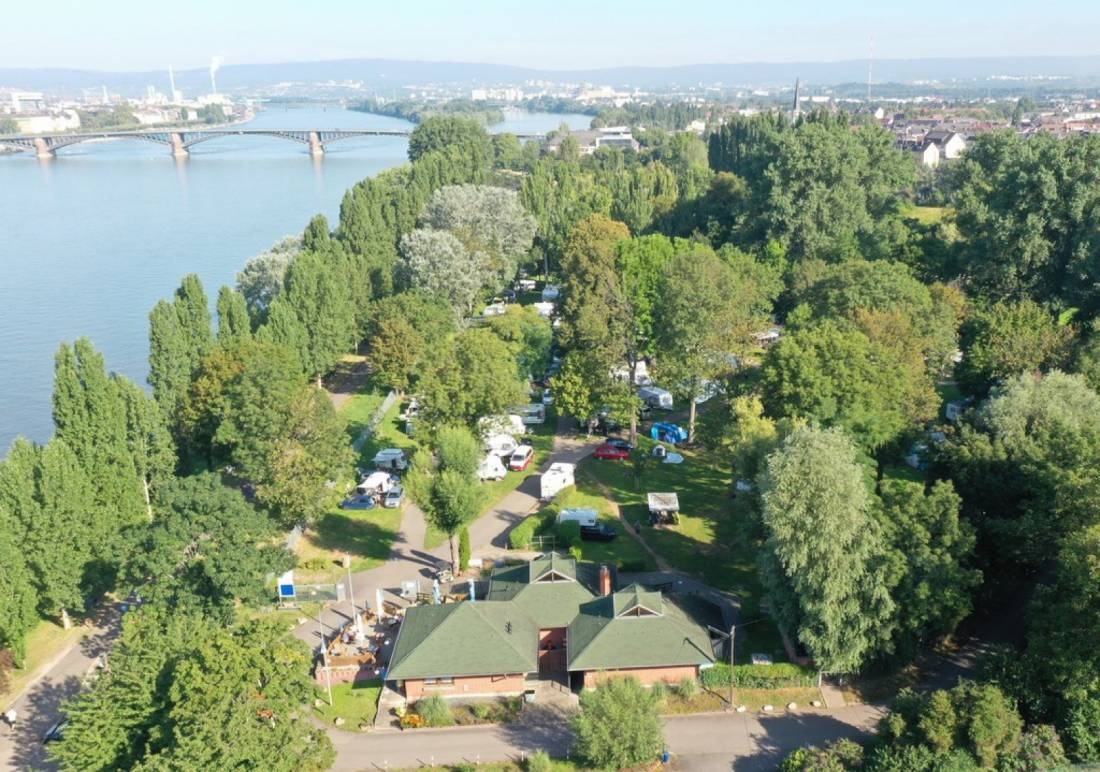 Campingplatz Maaraue — Campingplats in Wiesbaden