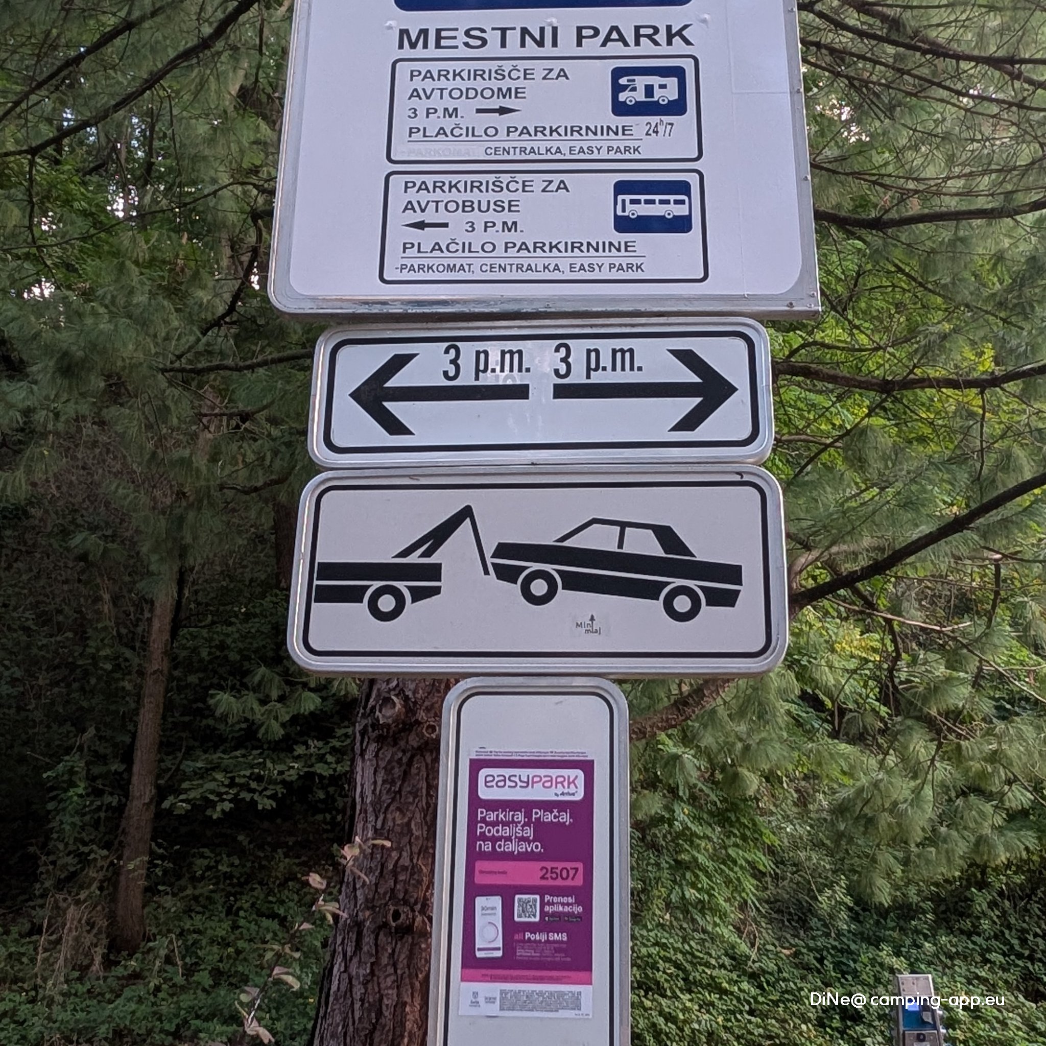Celje Mestina Park — Fotografie 4