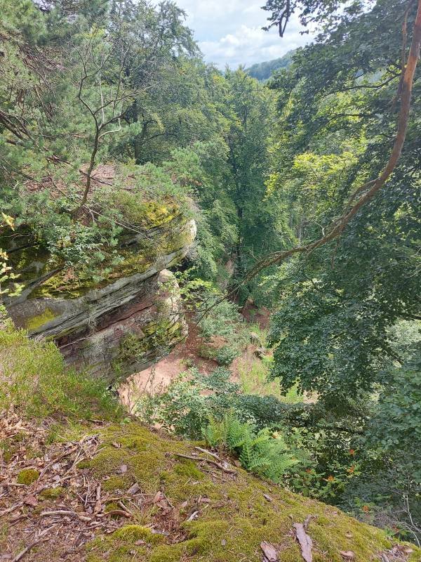 Stellplatz Sportzentrum