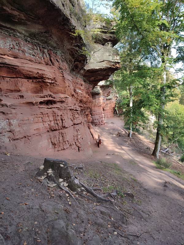 Stellplatz Sportzentrum — Photo 2