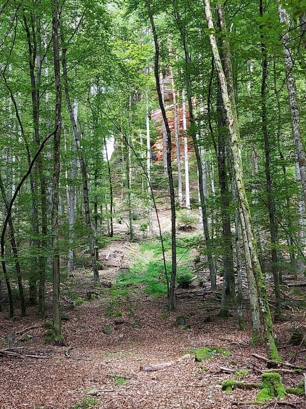 Stellplatz Sportzentrum — Campervan Site in Eppenbrunn