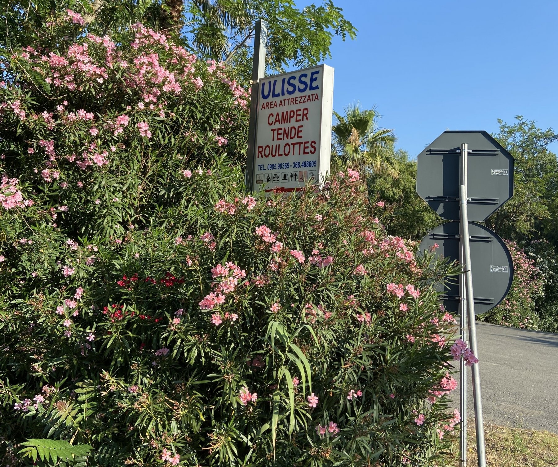 Area Camper Ulisse — Sp. parking dla kamperów in Cirella