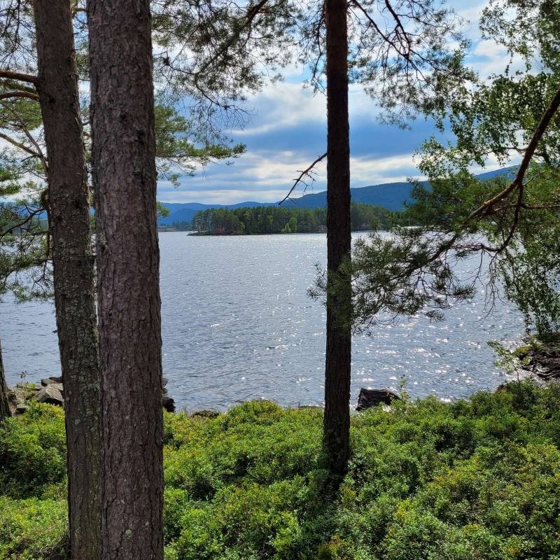 Vik Camping — Campingplass in Kyrkjebygda