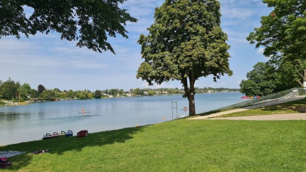 Neufeldersee — Photo 2