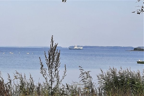 Bandholm Strand Wohnmobilstellplatz — Photo 3