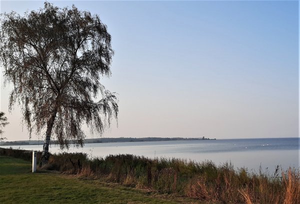 Bandholm Strand Wohnmobilstellplatz — Photo 4