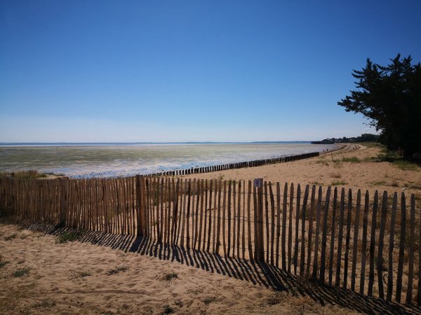 Stellplatz Le Château-d'Oléron — Photo 2