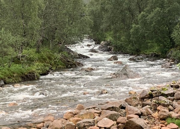Gullesfjord Camping — Photo 2