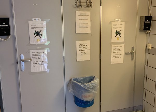 Gullesfjord Camping — Photo 3