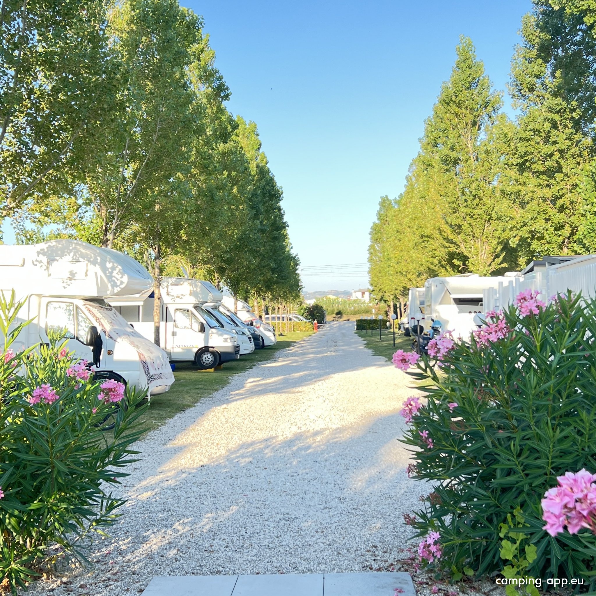 Noara Beach — Kemp in Cologna Spiaggia