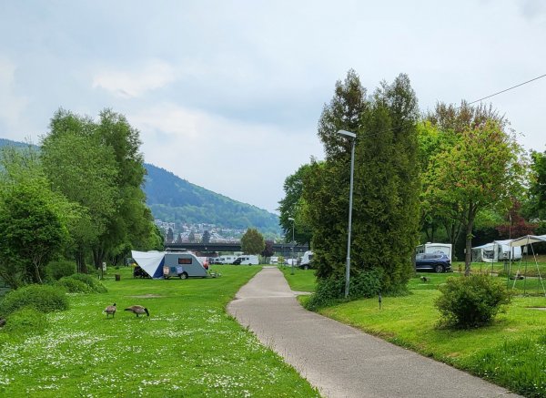 Camping Neckargemünd — Photo 5