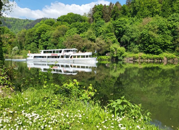 Camping Neckargemünd — Photo 4