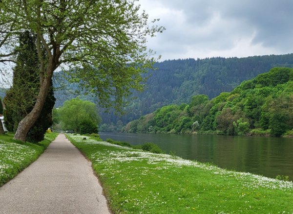 Camping Neckargemünd — Photo 5