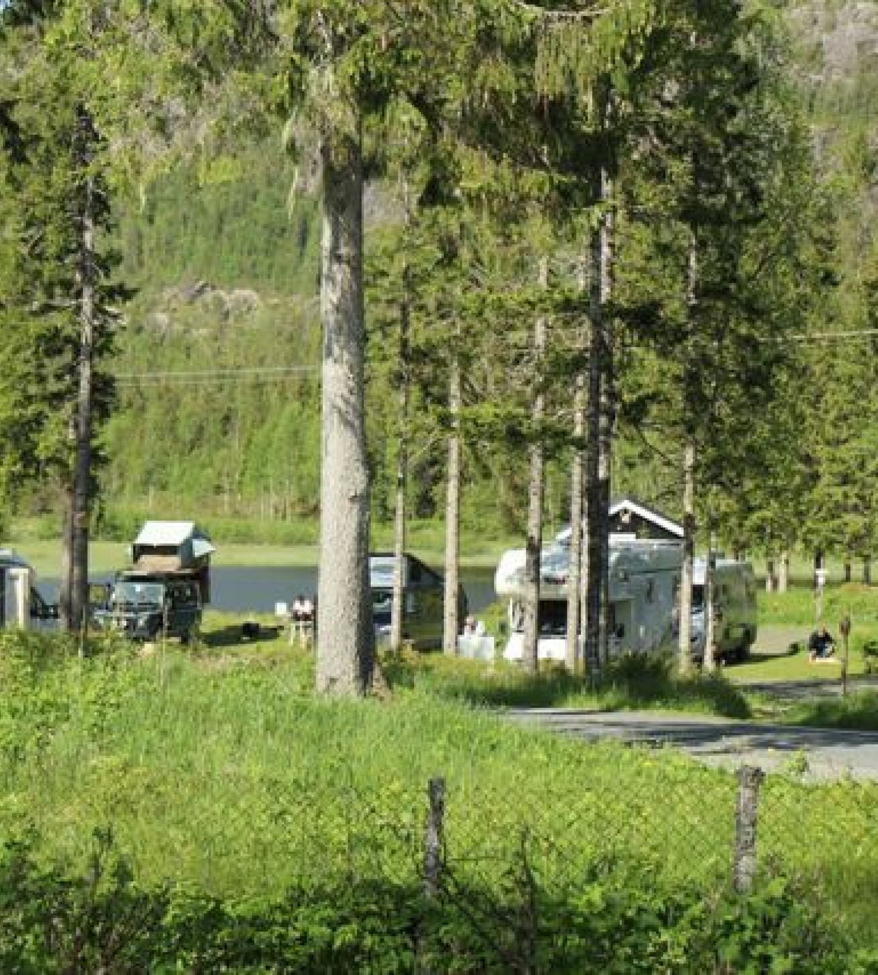 Velfjord Camping & Hytter — Campingplass in Vevelstad