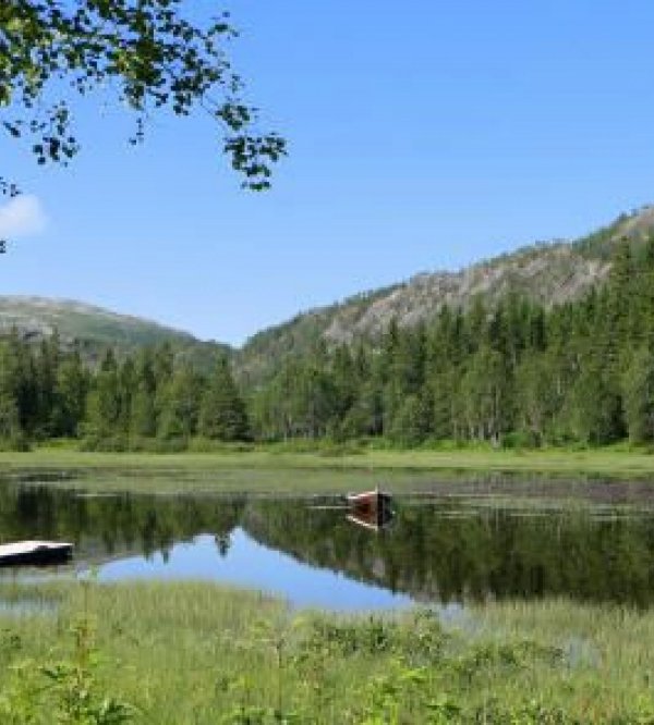 Velfjord Camping & Hytter — Foto 5