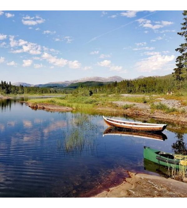 Velfjord Camping & Hytter — Photo 2